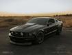 2005-2009 Ford Mustang Carbon Creations GT500 V2 Hood - 1 Piece